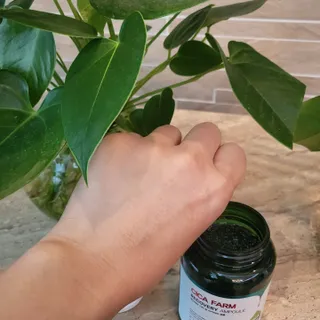 비니워니님이 올린 리뷰 사진 2