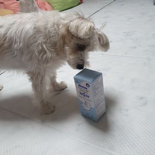 포비맘님이 올린 리뷰 사진 3