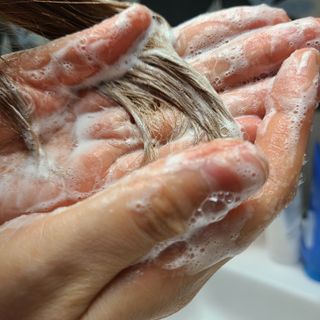 방방곳곳 편림초 마이크로바이옴 샴푸 — 5점을 준 리뷰어가 2022년 3월 올린 사용 사진