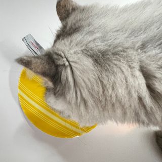 최미선님이 올린 리뷰 사진 1