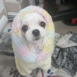 옐로우님이 올린 리뷰 사진 3