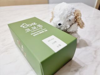 코보콩 에어슈즈 강아지 일회용 신발 소용량 패키지 20매 초경량  미끄럼방지 실내외 겸용 — 5점을 준 리뷰어가 2022년 2월 올린 사용 사진