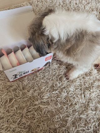 예니님이 올린 리뷰 사진 1