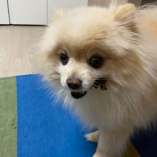 세지니힛님이 올린 리뷰 사진 4