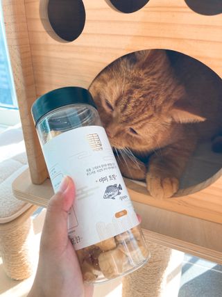 부르르펫 야미트릿 틸라피아 60g — 5점을 준 리뷰어가 2021년 10월 올린 사용 사진