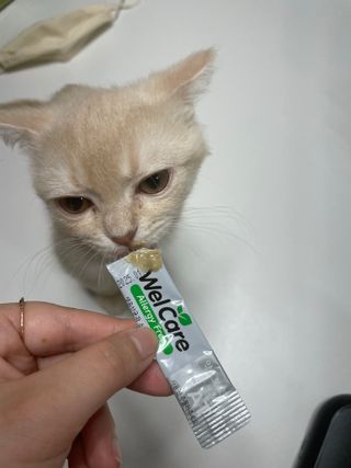 추츄님이 올린 리뷰 사진 1
