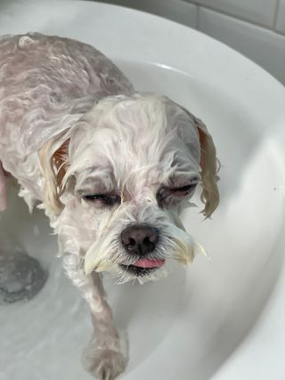 라임님이 올린 리뷰 사진 2