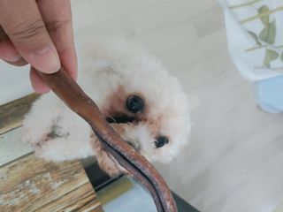 햇님달님님이 올린 리뷰 사진 2