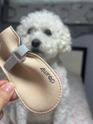 모모님이 올린 리뷰 사진 3