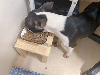 My Pet Care 모발과 모질 피부건강에 개좋아 — 5점을 준 리뷰어가 2021년 1월 올린 사용 사진