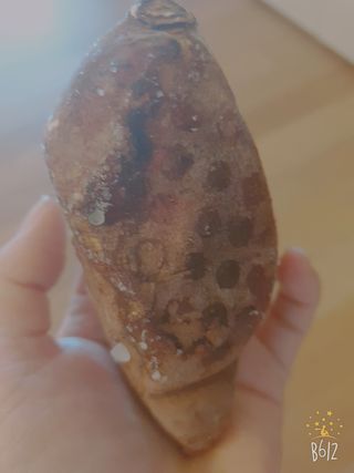 데이지맘님이 올린 리뷰 사진 2
