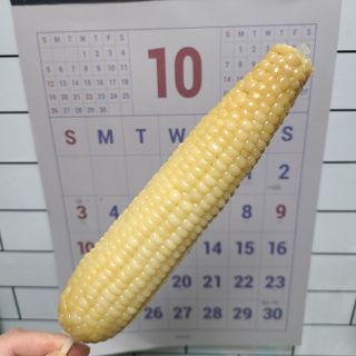 지니야님이 올린 리뷰 사진 2