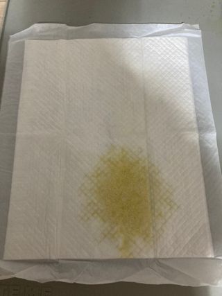 또왔엉님이 올린 리뷰 사진 3