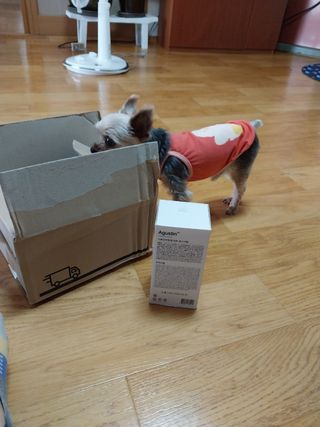 쪼꼬사랑이언니님이 올린 리뷰 사진 2