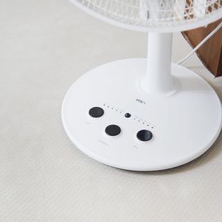 꽃양뿌니님이 올린 리뷰 사진 2
