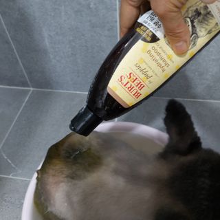 복도리님이 올린 리뷰 사진 4