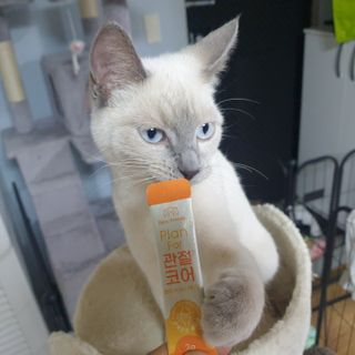 김주사랑님이 올린 리뷰 사진 3