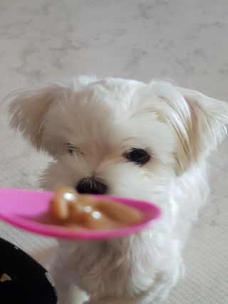 곽현정님이 올린 리뷰 사진 4
