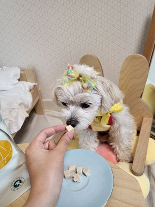 안혜리님이 올린 리뷰 사진 3
