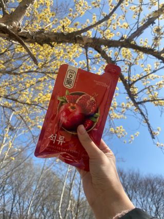콩비지맘님이 올린 리뷰 사진 1