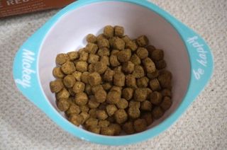 치킨수프 클래식 독 2.04KG — 5점을 준 리뷰어가 2021년 6월 올린 사용 사진