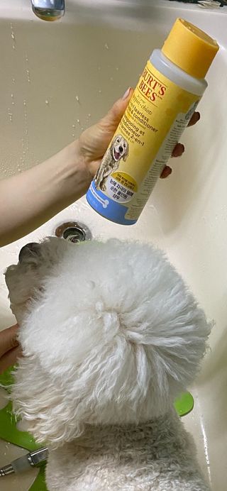파라오겅쭈님이 올린 리뷰 사진 4