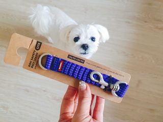 beanmom님이 올린 리뷰 사진 3