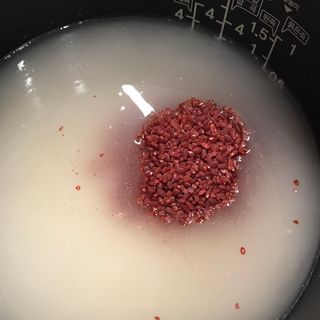 화요일님이 올린 리뷰 사진 2