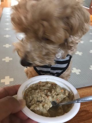 쭈또맘님이 올린 리뷰 사진 3