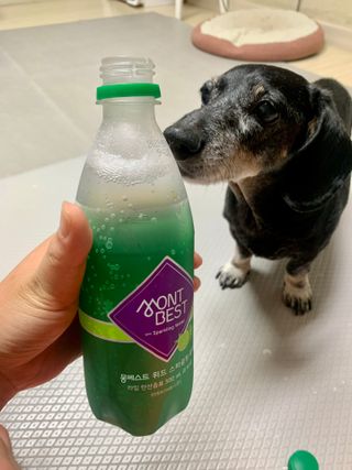 몽베스트 Montbest with Sparkling water Lime20병 — 5점을 준 리뷰어가 2022년 6월 올린 사용 사진
