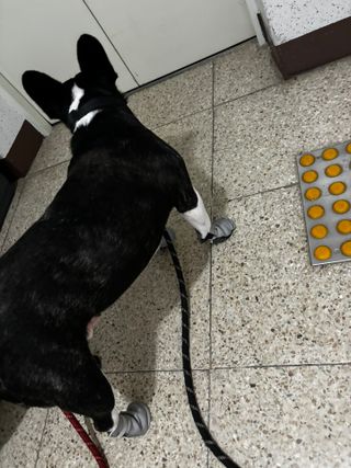 또용님이 올린 리뷰 사진 4