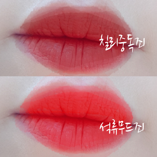 [블랙루즈]하프앤하프틴트 10종 中 벨벳5종 OR 글로우5종 중 택1 — 5점을 준 리뷰어가 2021년 2월 올린 사용 사진
