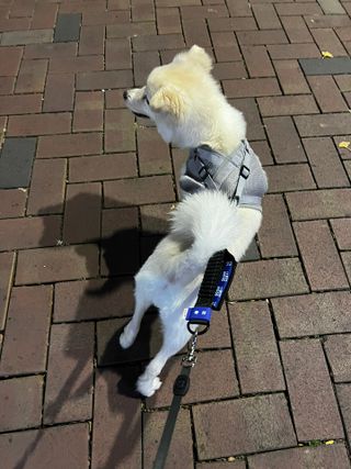 정혜원님이 올린 리뷰 사진 2