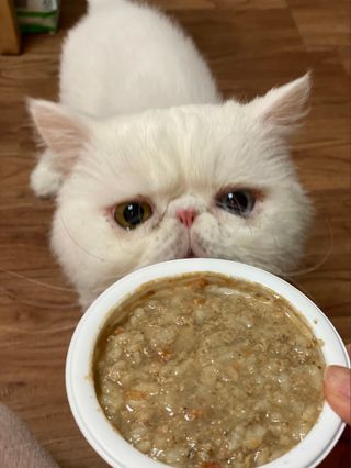 김푸딩님님이 올린 리뷰 사진 1