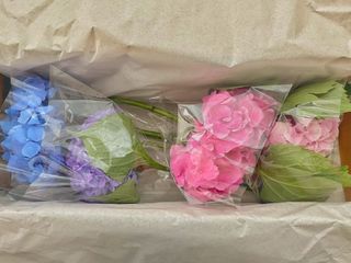 쥬롱이님이 올린 리뷰 사진 3