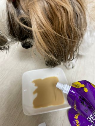 라라통통님이 올린 리뷰 사진 4