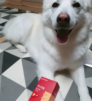 딸랑구둘🥰님이 올린 리뷰 사진 1