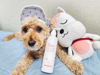 [댕모어 샴푸 2종] 댕샴푸 / 퍼피샴푸  2종 세트 (300ml) — 5점을 준 리뷰어가 2023년 10월 올린 사용 사진