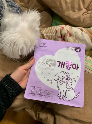 My Pet Care 천연단백질 치아건강에 개좋아 — 5점을 준 리뷰어가 2021년 1월 올린 사용 사진