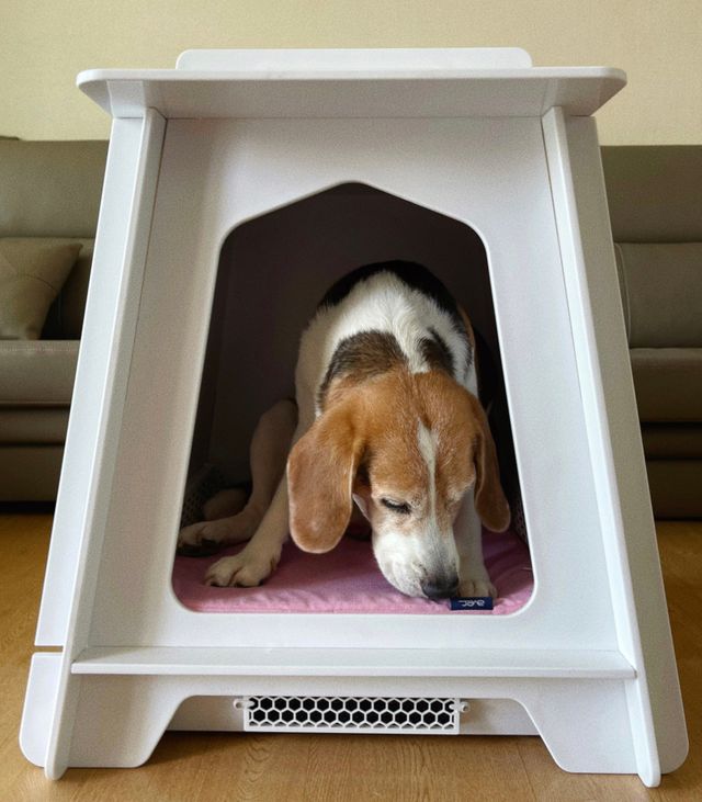 아베크 펫 강아지 고양이 목욕 건조기 드라이기 펫드라이룸 리뷰 사진