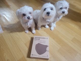 애니가드 셋업마스크 4컬러 각 10매입 [크리미베이지, 캐시미어로즈, 초콜렛브라운, 미드나잇네이비] — 4점을 준 리뷰어가 2022년 2월 올린 사용 사진