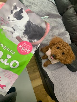 KellyChoi님이 올린 리뷰 사진 2
