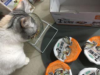 sunny님이 올린 리뷰 사진 3