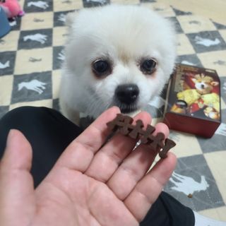 곰같은여우님이 올린 리뷰 사진 3