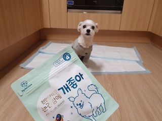 My Pet Care 천연단백질 눈건강에 개좋아 — 5점을 준 리뷰어가 2020년 12월 올린 사용 사진