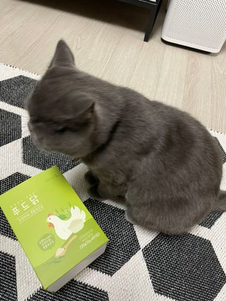 도그퓨어 푸드닭 강아지 닭고기 통살 애견간식 오리지널/차전자피/초록입홍합 — 5점을 준 리뷰어가 2021년 11월 올린 사용 사진