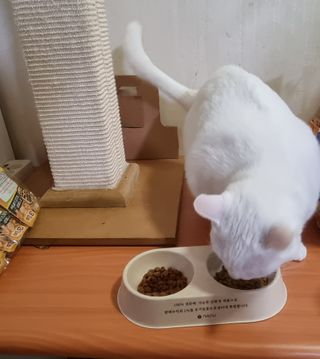엄살공주님이 올린 리뷰 사진 2