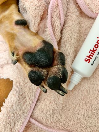 [자유펫] 시코니딘 고양이 강아지 피부 보습 연고 20g — 4점을 준 리뷰어가 2021년 11월 올린 사용 사진