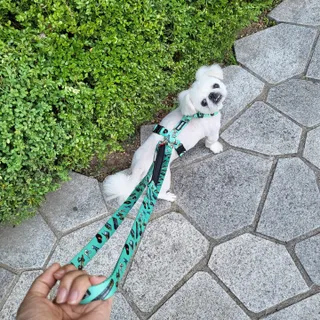 mini unni님이 올린 리뷰 사진 3