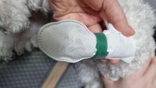 코보콩 에어슈즈 강아지 일회용 신발 소용량 패키지 20매 초경량  미끄럼방지 실내외 겸용 — 4점을 준 리뷰어가 2022년 2월 올린 사용 사진